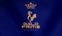 Camarote Galo Prime 2025